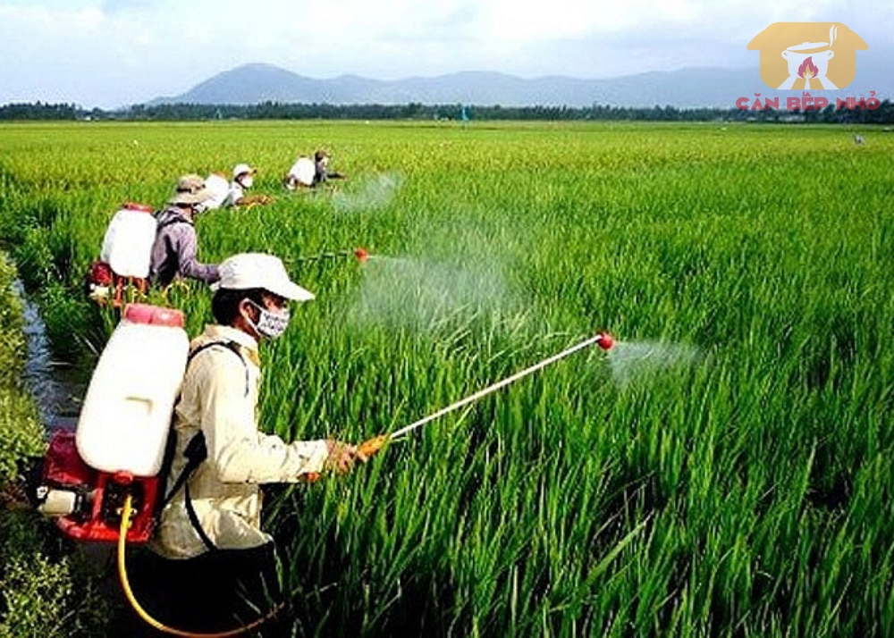 Hậu quả tiếp xúc với các chất độc hại – Nguy cơ bệnh “tiềm ẩn”
